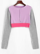 Colorblock Topstitching Crop T Shirt - INS | Online Fashion Free Shipping Clothing, Dresses, Tops, Shoes