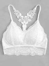 Scallop Trim Lace Bralette - INS | Online Fashion Free Shipping Clothing, Dresses, Tops, Shoes