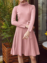 Turtle Neck Belted Ribbed Knit Sweater Dress - Dresses - INS | Online Fashion Free Shipping Clothing, Dresses, Tops, Shoes - 02/02/2021 - Autumn - Casual Dresses