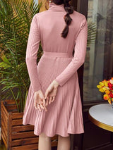 Turtle Neck Belted Ribbed Knit Sweater Dress - Dresses - INS | Online Fashion Free Shipping Clothing, Dresses, Tops, Shoes - 02/02/2021 - Autumn - Casual Dresses