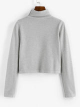Turtleneck Plain Crop Knitwear - INS | Online Fashion Free Shipping Clothing, Dresses, Tops, Shoes