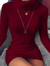 Women's Dresses High Neck Skinny Long Sleeve Mini Dress - Mini Dresses - INS | Online Fashion Free Shipping Clothing, Dresses, Tops, Shoes - 10-20 - 26/08/2021 - Category_Mini Dresses